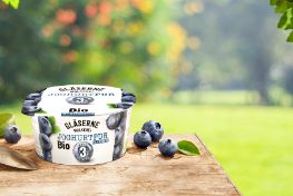 GM_JoghurtPur-BlauBeere
