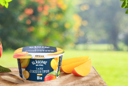 GM_Rahmjoghurt_mango_ret_2558x1200_srgb